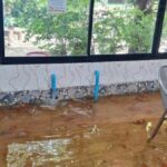 Fishy business cafe forced to close doors due to health violations | Thaiger