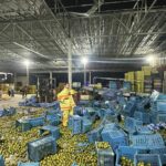 Fruit depot goes bananas: Gas blast injures two in Phrae | Thaiger