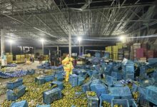Fruit depot goes bananas: Gas blast injures two in Phrae | Thaiger