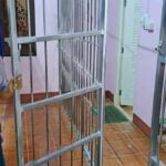 Thai mother cages in drug-addicted son in Buriram (video)