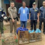 Thai police ‘tweet’ out arrests in illegal bird trade bust