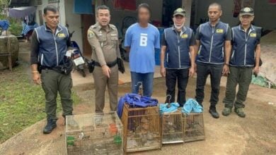 Thai police ‘tweet’ out arrests in illegal bird trade bust