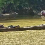 Thailand intercepts illegal palm oil smuggling in Ranong | Thaiger