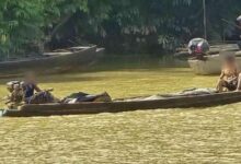 Thailand intercepts illegal palm oil smuggling in Ranong | Thaiger