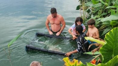 Why expats trust Dan About Thailand for honest advice | Thaiger
