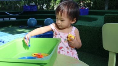 You’re invited! Fun meets learning at Ascot’s Winter Camp 2024 and Little Lion Playgroup for children | Thaiger