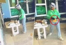 TikTok exposes delivery rider stealing parcel in Thailand (video)