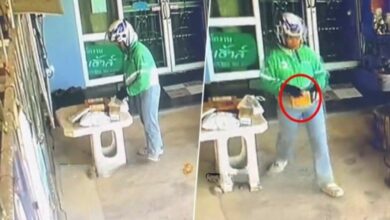 TikTok exposes delivery rider stealing parcel in Thailand (video)