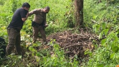 Elderly man found dead in pit after 11 days missing in Chiang Mai