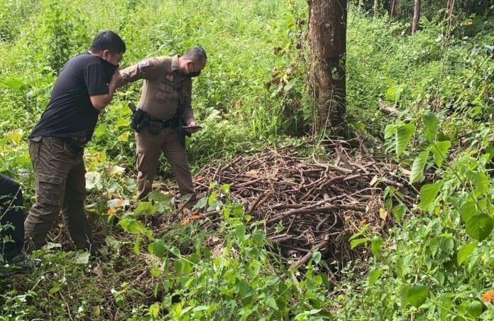 Elderly man found dead in pit after 11 days missing in Chiang Mai