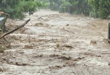 A stormy affair: TMD warns of a monsoon downpour in Thailand | Thaiger