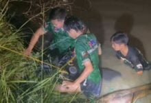 Chon Buri woman narrowly escapes GPS misdirection into ditch