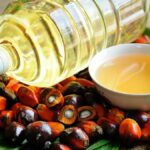 Thailand steps up border monitoring due to palm oil smuggling | Thaiger