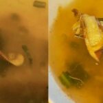 Band-aid mistake in chicken soup sparks online outrage in Thailand | Thaiger