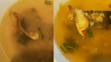 Band-aid mistake in chicken soup sparks online outrage in Thailand