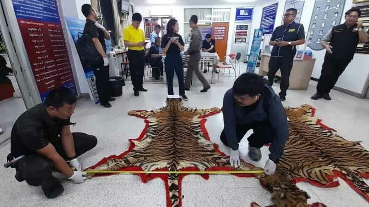 Police raid tiger trafficking ring in Nonthaburi