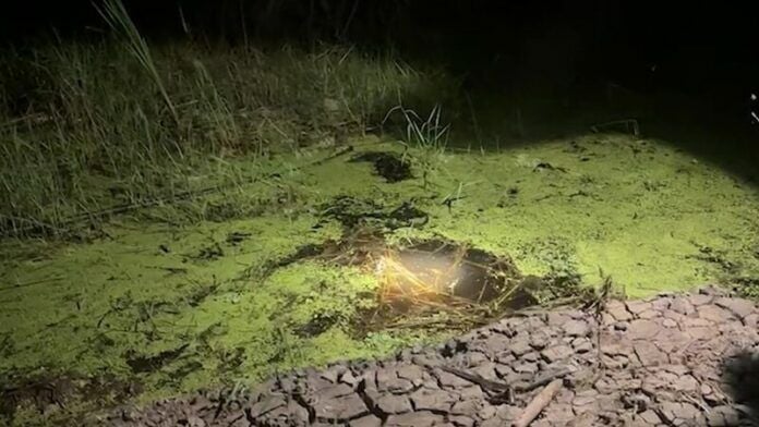 Toddler tragically found in pond at Chachoengsao worker camp