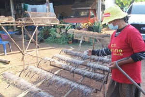 Worming  success: Thailand village cashes in on earthworm empire