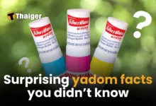 Surprising yadom facts you probably didn’t know