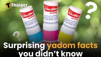 Surprising yadom facts you probably didn’t know