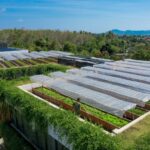 The Phuket southern shift: More than just real estate | Thaiger