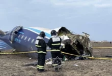 Bird strike suspected in Azerbaijan Airlines crash, 42 dead