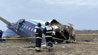 Bird strike suspected in Azerbaijan Airlines crash, 42 dead