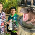 Ethereum co-founder donates 10 million baht gift to Moo Deng and friends | Thaiger