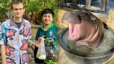 Ethereum co-founder donates 10 million baht gift to Moo Deng and friends | Thaiger