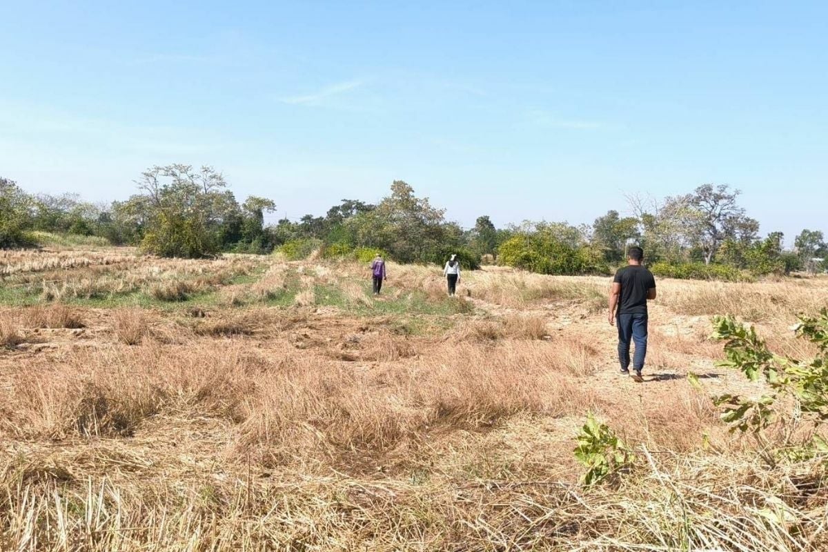 Two elderly women raped in Nakhon Ratchasima