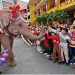 Thailand brings out its elephants to add Christmas cheer | Thaiger