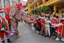 Thailand brings out its elephants to add Christmas cheer