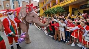 Thailand brings out its elephants to add Christmas cheer