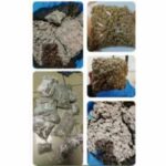 Indian customs seize haul of weed smuggled from Bangkok | Thaiger