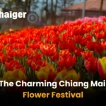 The Charming Chiang Mai Flower Festival