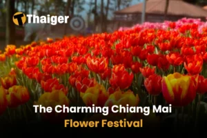 The Charming Chiang Mai Flower Festival