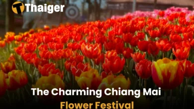 The Charming Chiang Mai Flower Festival | Thaiger