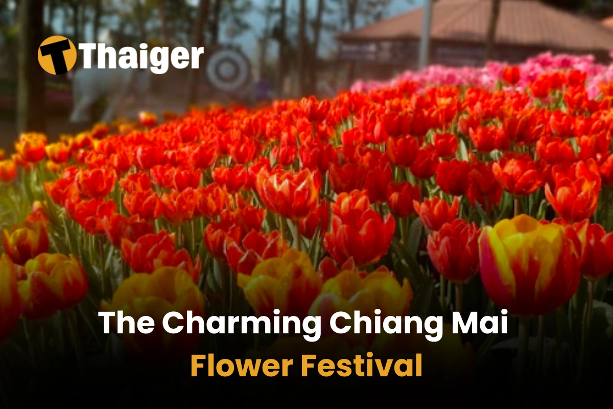 The Charming Chiang Mai Flower Festival