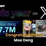 Moo Deng crowned Meme of the Year on X | Thaiger