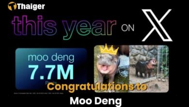 Moo Deng crowned Meme of the Year on X