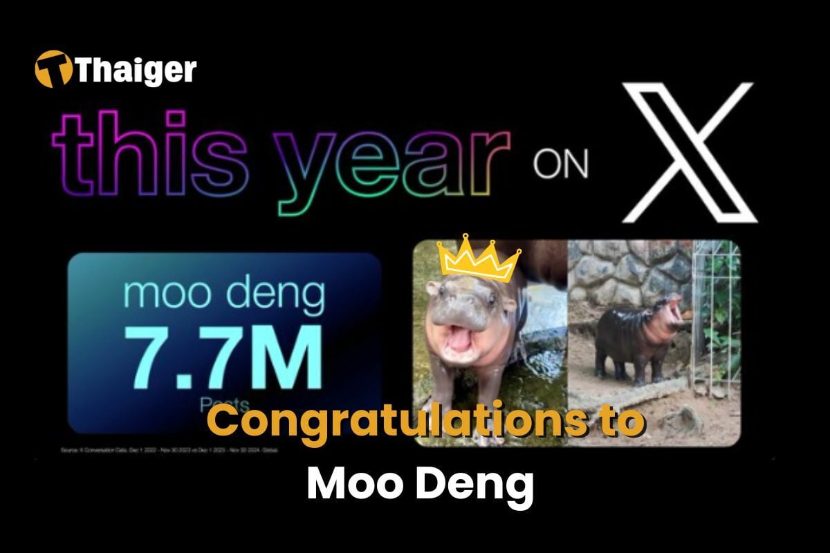 Moo Deng crowned Meme of the Year on X