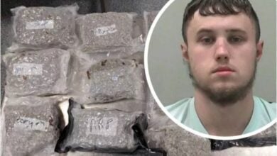 Polish man sentenced for trafficking £100k of cannabis into UK