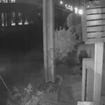 Motorcyclist plunges into canal following GPS mishap in Thailand | Thaiger