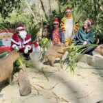 Khao Kheow Open Zoo showers animals with Christmas gifts | Thaiger