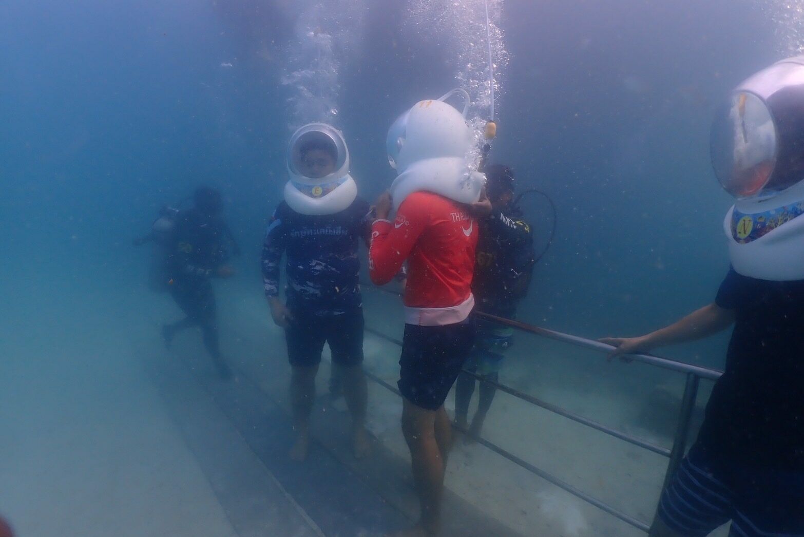 Successful coral restoration boosts tourism at Koh Larn | News by Thaiger