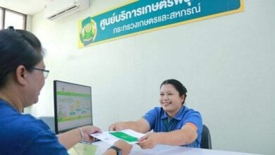 Thai farmers to receive 1,000 baht per rai under new scheme