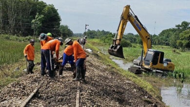 Southern Thailand train services to resume after severe flooding