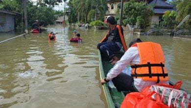 Thailand floods claim lives, deforestation and dams blamed