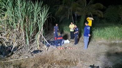 Young man dies in big bike and pickup collision near sugarcane field | Thaiger