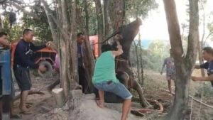 Close call: Buffalo rescued from deep well in Chon Buri (video)